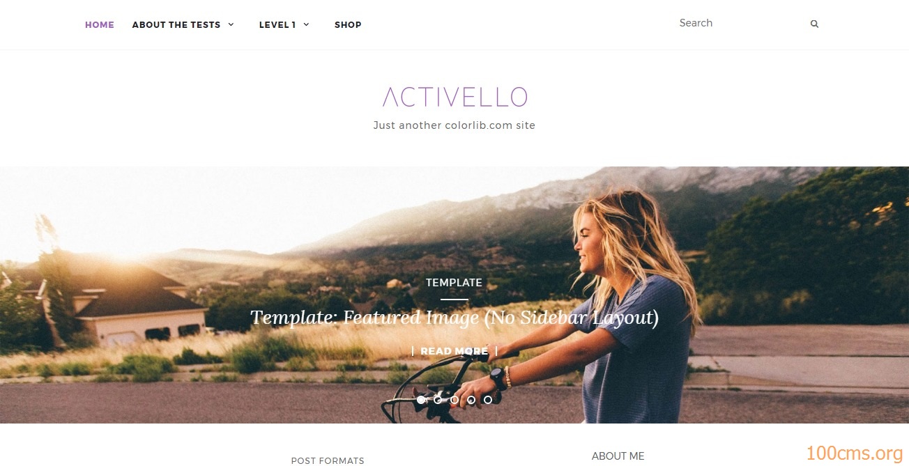  Activello - Wordpress Blog Template