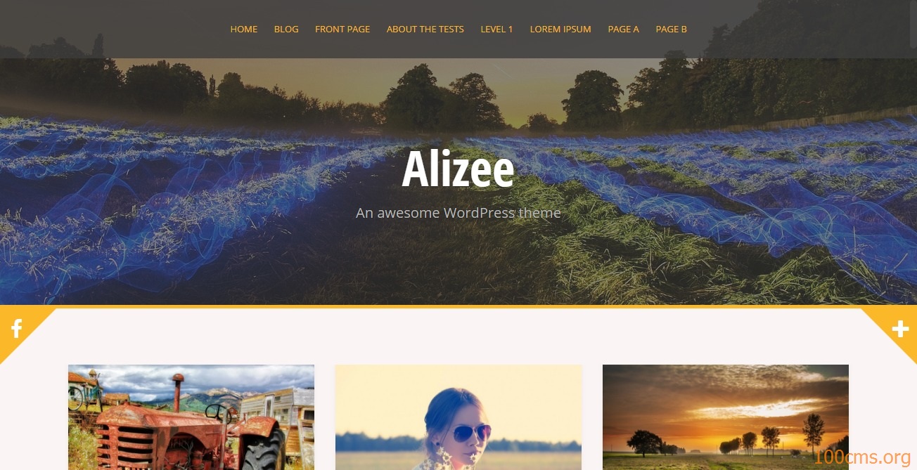  Alizee - Wordpress Blog Template