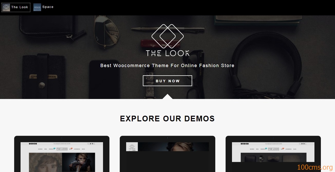  The Look - Wordpress Blog Template