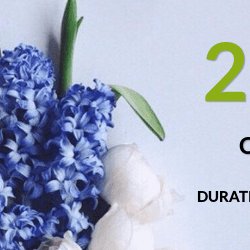 Joomla news: Spring 20% discount from OrdaSoft