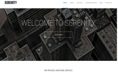 Serenity - universal business theme Drupal
