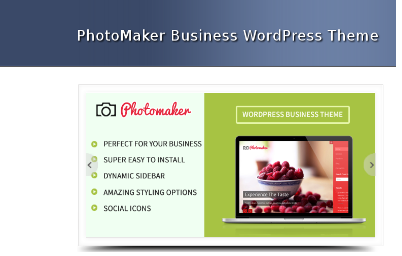 PhotoMaker - ecommerce WordPress theme of the May