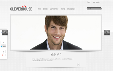 CleverHouse - one of the best business wordpress themes
