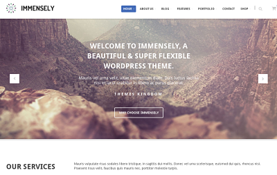 Immensely - best business wordpress theme