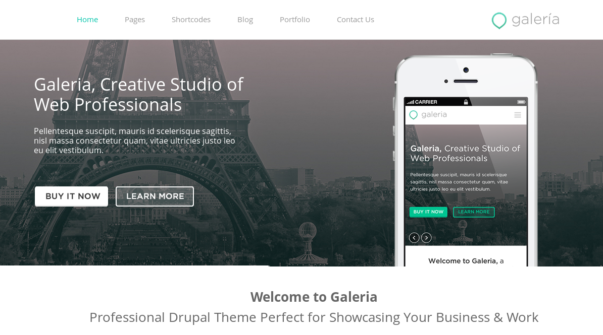 Galeria - professional Drupal 7 portfolio theme