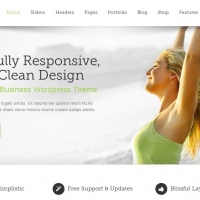 Wordpress Free Theme - Avada