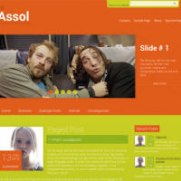Wordpress Free Theme - Assol