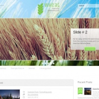 Wordpress Free Theme - Wheat