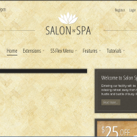 Wordpress Free Theme - Salon n Spa