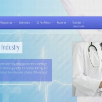 Wordpress Free Theme - Ameritage Medical