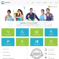 Wordpress Free Theme - Cleaning Company Business WordPress Theme