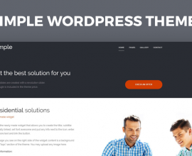 Wordpress Free Theme - Simple WCAG and ADA WordPress theme