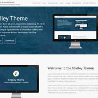 Wordpress Premium Theme - ShelleyPro