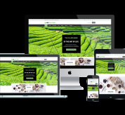 Wordpress Free Theme - WS Teaime – Free Responsive Tea Shop Woocommerce Wordpress Theme