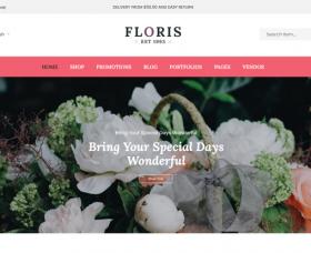 Wordpress Free Theme - Sw Floris Free
