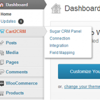 Wordpress Premium plugin - Cart2CRM