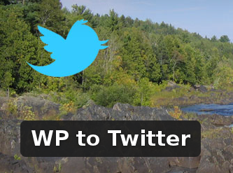 Wordpress Plugin: WP to Twitter