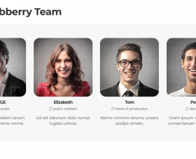 Joomla Free extension - Webberry Team Grid