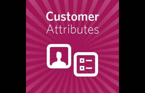 Magento Extension: Customer Attributes by aheadWorks