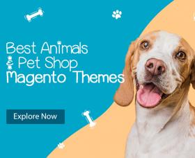 Magento news: 5 Best Animals & Pets Shop Magento 2 Themes 2022