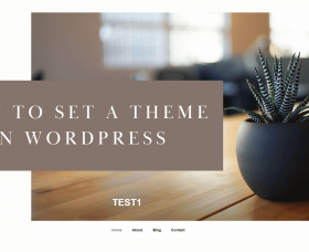 Wordpress news: How to Set a Theme in Wordpress