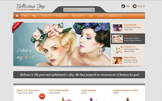 admin Wordpress News:  E-Commerce WordPress website design