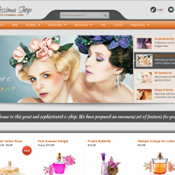 Wordpress news:  E-Commerce WordPress website design