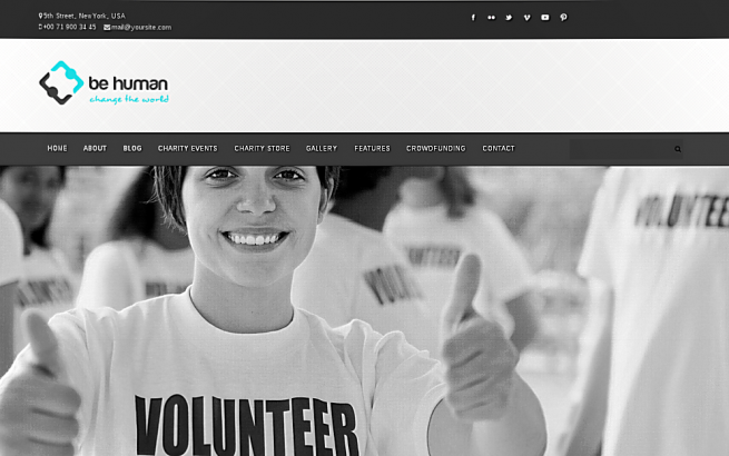 WordPress News: Best wordpress themes of 2013