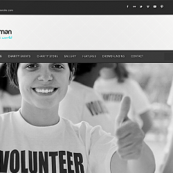 Wordpress news: Best wordpress themes of 2013