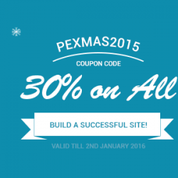 Wordpress news: Xmas and New Year sale from PixelEmu