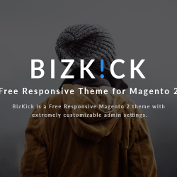 Magento news: BizKick – Free Responsive Theme for Magento® 2