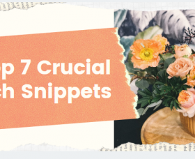 Magento news: 7 Crucial E-Commerce Rich Snippets to Increase The Qualified Traffic