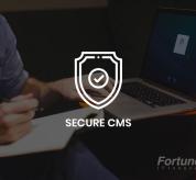Wordpress news: Ways to Secure CMS Websites - Fortunesoft