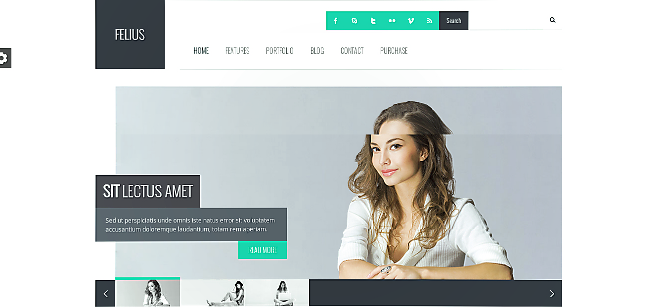 Felius - clean design best wordpress theme