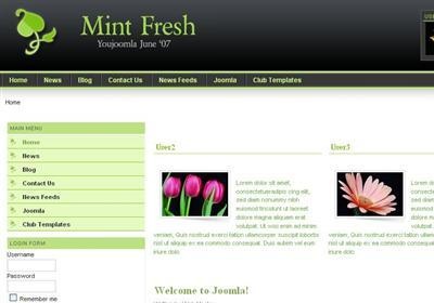 Joomla Template: Mint Fresh