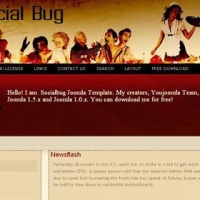 100CMS Joomla Template: Socialbug