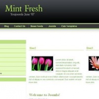 100CMS Joomla Template: Mint Fresh