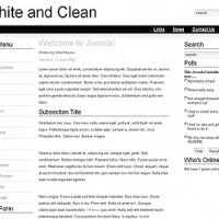 100CMS Joomla Template: White and Clean