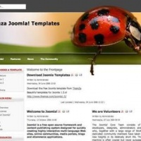 100CMS Joomla Template: themza_j15_01