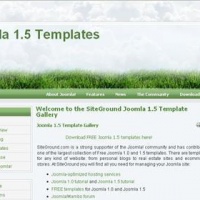 100CMS Joomla Template: siteground-j15-23