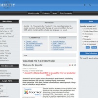 100CMS Joomla Template: bizcity_ii