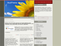 100CMS Joomla Template: SkullTheme - Blog