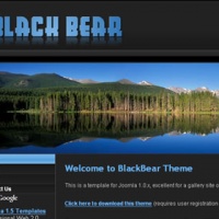 100CMS Joomla Template: BlackBear