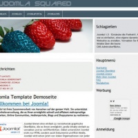 100CMS Joomla Template: squared