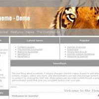 100CMS Joomla Template: SkullTheme - Tiger