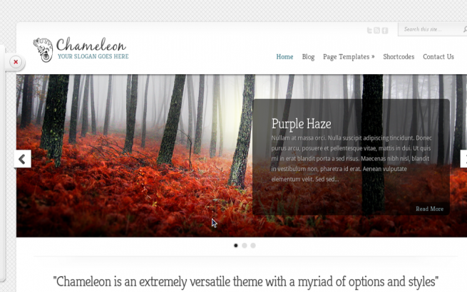 Wordpress Theme: Chameleon WordPress Theme