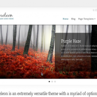 Elegantthemes Wordpress Theme: Chameleon WordPress Theme