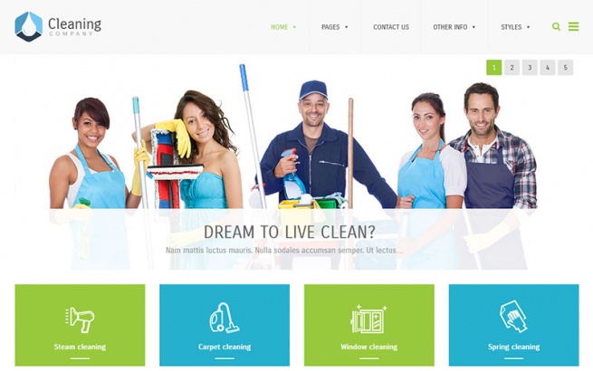 Wordpress Theme: Cleaning Company Business WordPress Theme