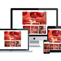 Wordpress Free Theme - LT xMas Gift – Free Responsive xMas Store / Christmas Shop WordPress Theme