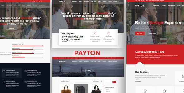 Wordpress Theme: Payton - Multipurpose Responsive WordPress Theme